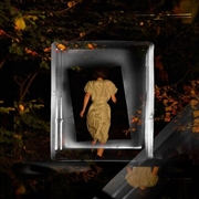 Buy What Happens At Night