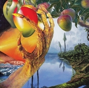 Buy A Morphology Of Wonders