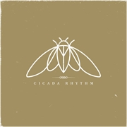 Buy Cicada Rhythm
