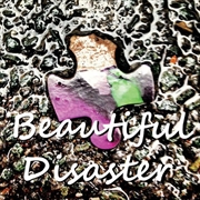 Buy Beautiful Disaster