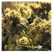 Buy Kushbush + Music For Grass Bars