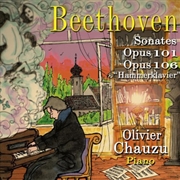 Buy Pno Sons 101 And 106 Hammerkla