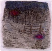 Buy Farewell Forest