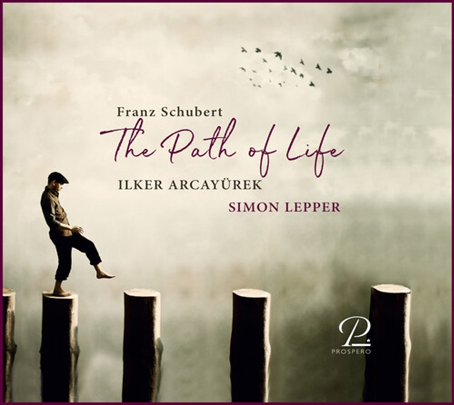 Path Of Life/Product Detail/Pop