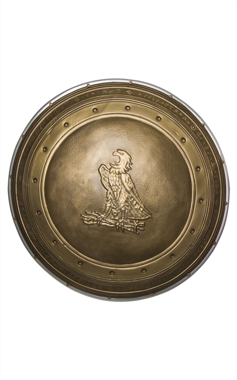 Wonder Woman 24 Shield"/Product Detail/Costumes