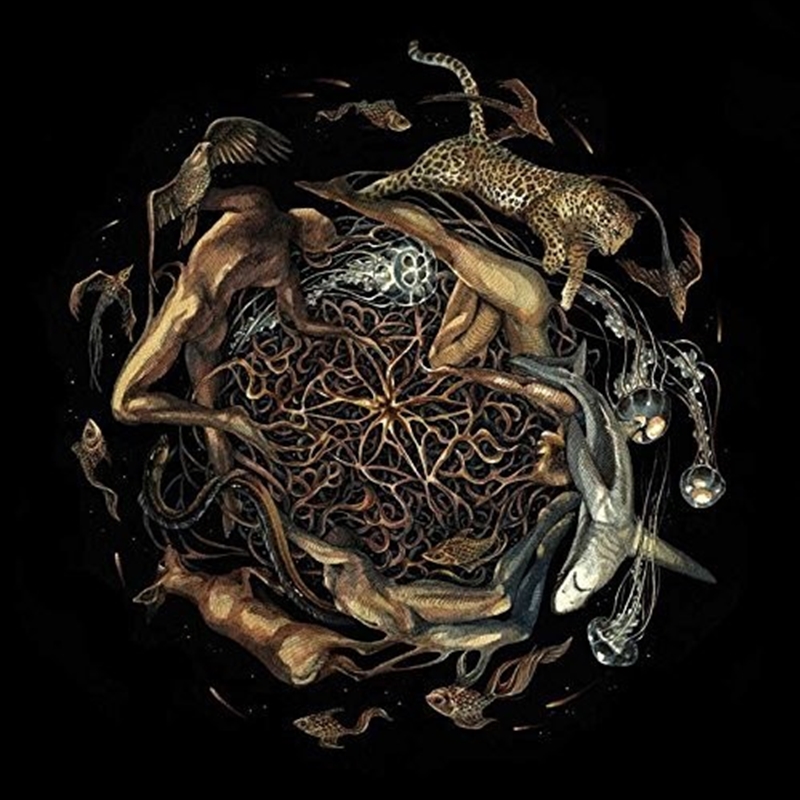 Heart Is The Star Of Chaos/Product Detail/Metal
