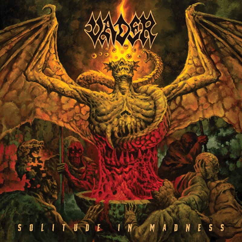 Solitude In Madness/Product Detail/Rock/Pop