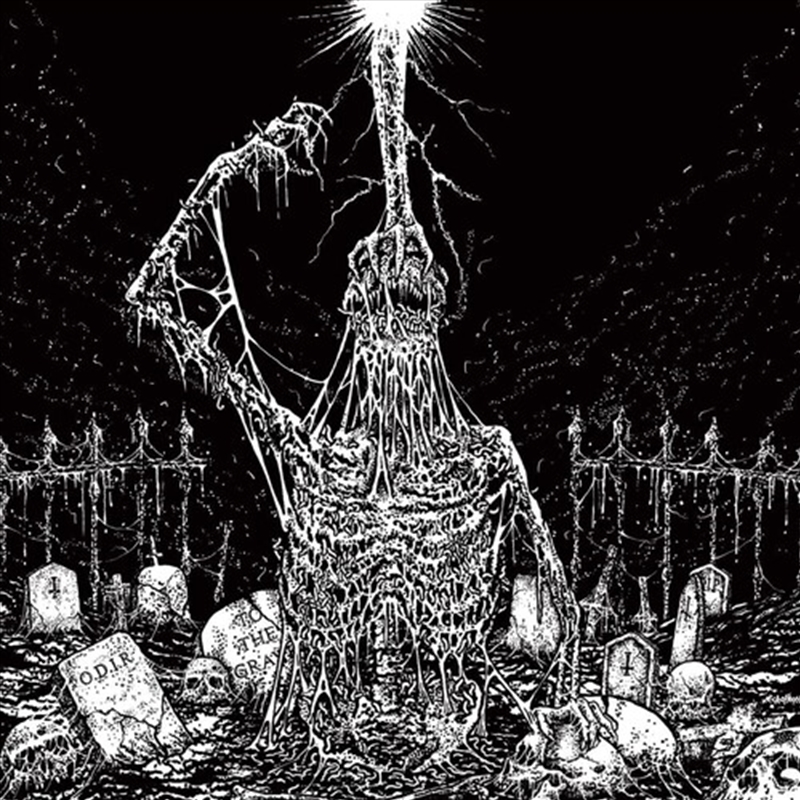 Split/Product Detail/Rock/Pop