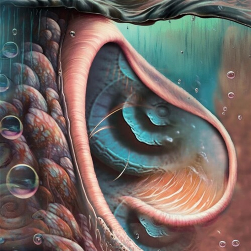 Tribute To Pink Floyd/Product Detail/Rock/Pop