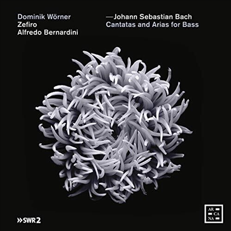 Cantatas & Arias For Bass/Product Detail/Classical