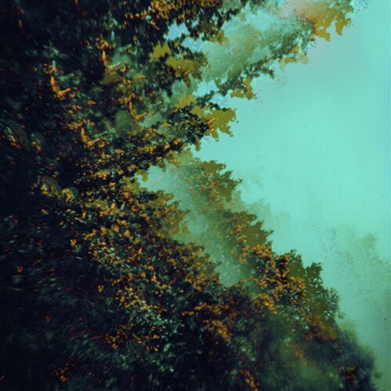 Caterpillars Of Creation/Product Detail/Pop