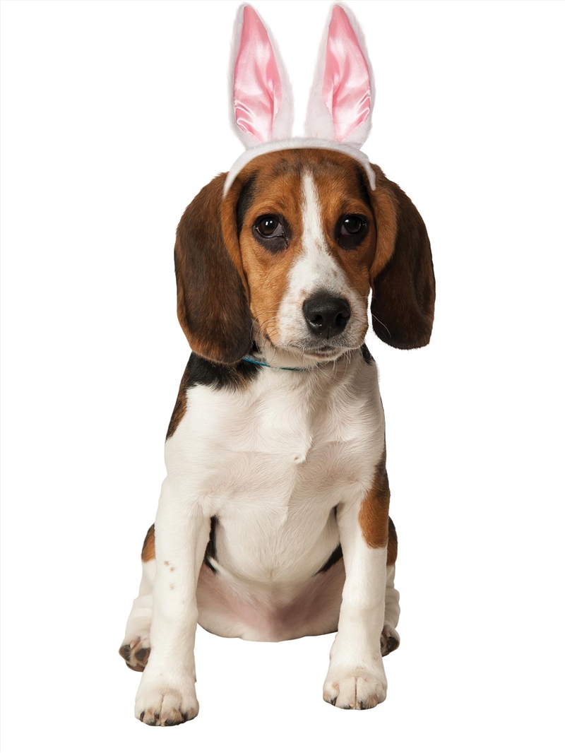 Bunny Ears Pet Accessory - Size S-M/Product Detail/Costumes