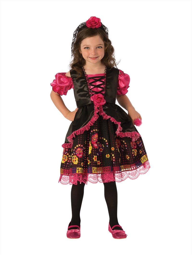 Day Of The Dead Girls Costume - Size S/Product Detail/Costumes