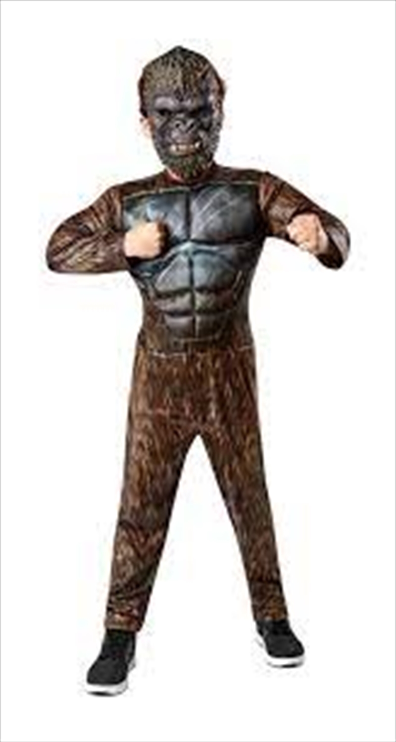 King Kong Child Costume - Size L/Product Detail/Costumes