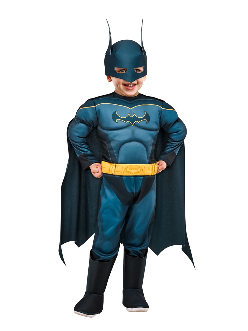 Batman Dc Super Pets Costume - Size S (3-4)/Product Detail/Costumes