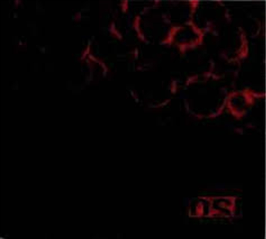 Blood/Product Detail/Rock/Pop