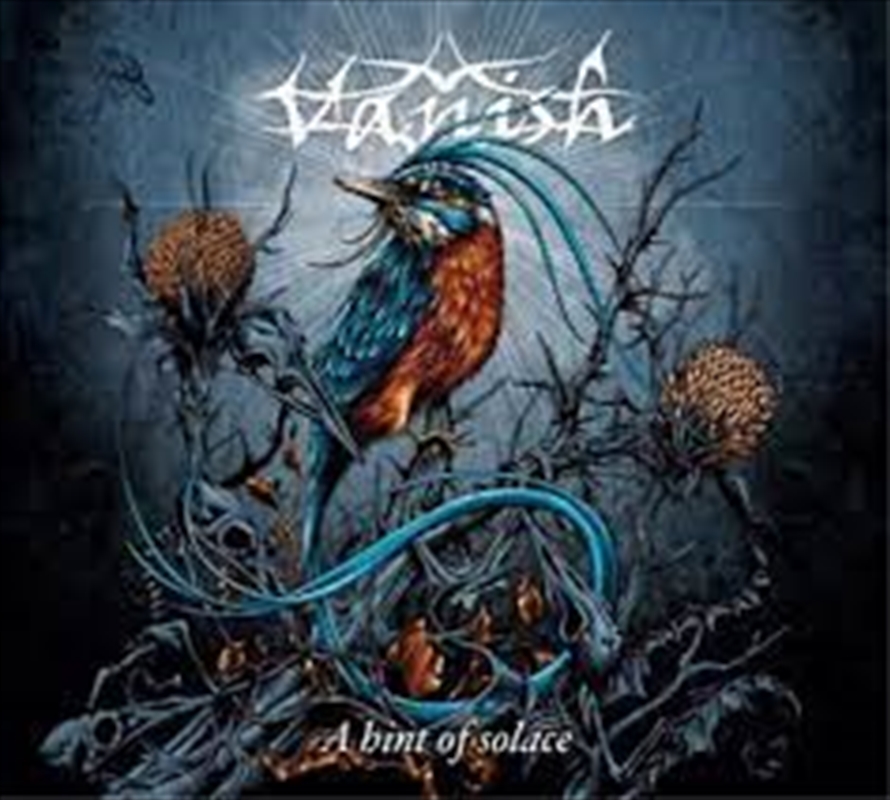 Hint Of Solace/Product Detail/Rock/Pop
