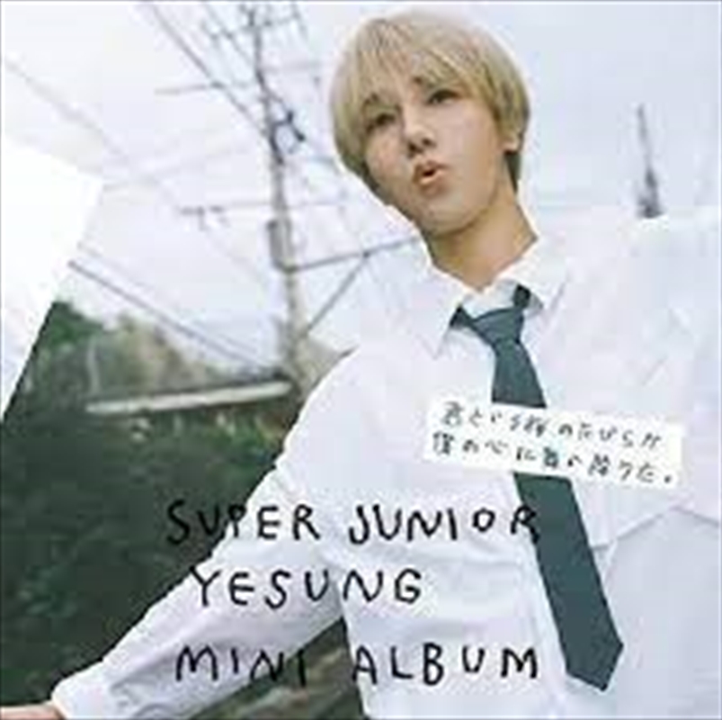 Kimi To Iu Sakura No Hanabira/Product Detail/World