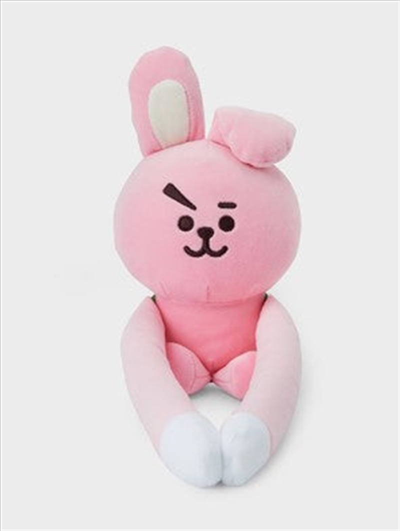 Cooky Magnet Plush/Product Detail/KPOP Merch