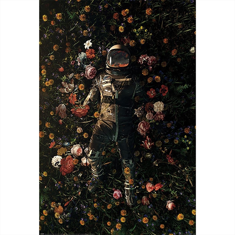 Astronaut - Nicebleed Garden Delights/Product Detail/Posters & Prints