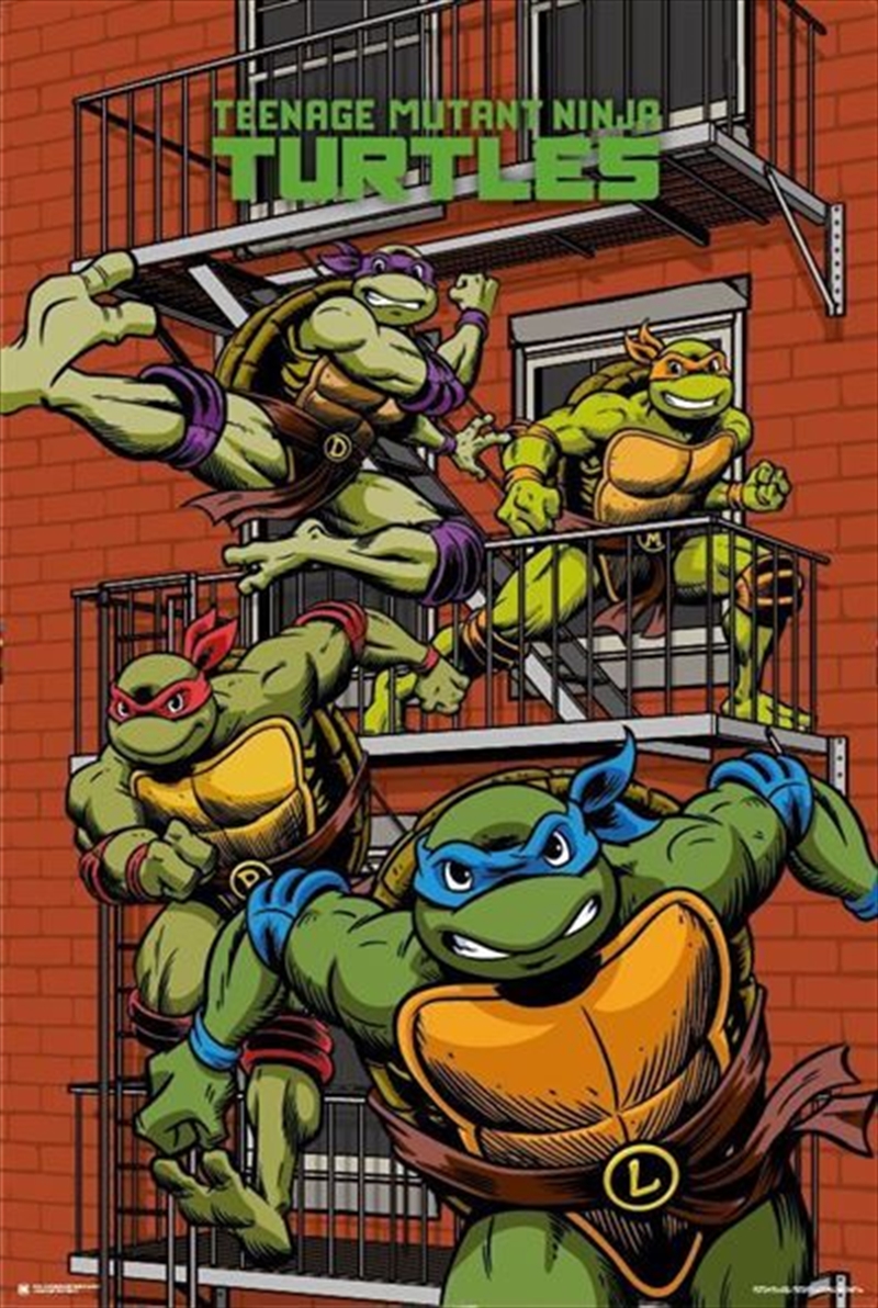 TMNT - Balcony - Reg poster/Product Detail/Posters & Prints