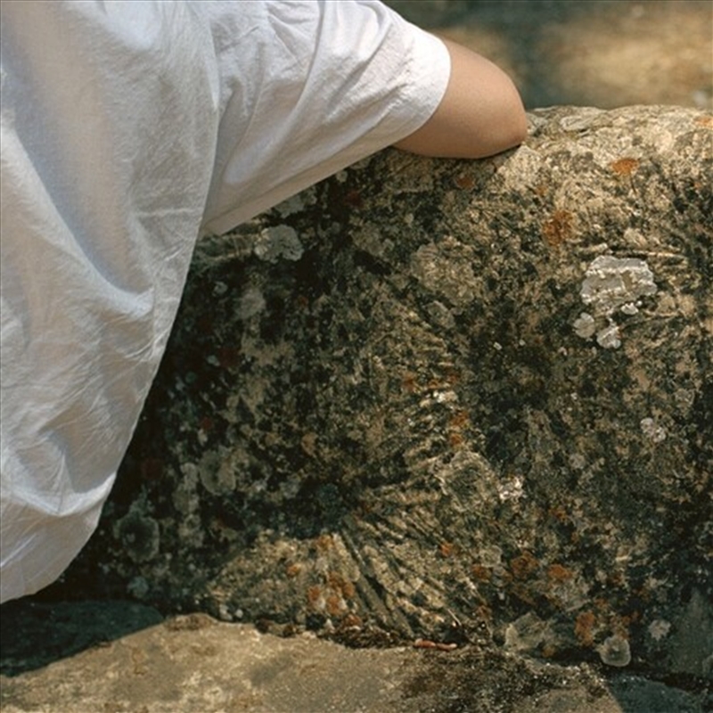 Tender Membranes/Product Detail/Dance