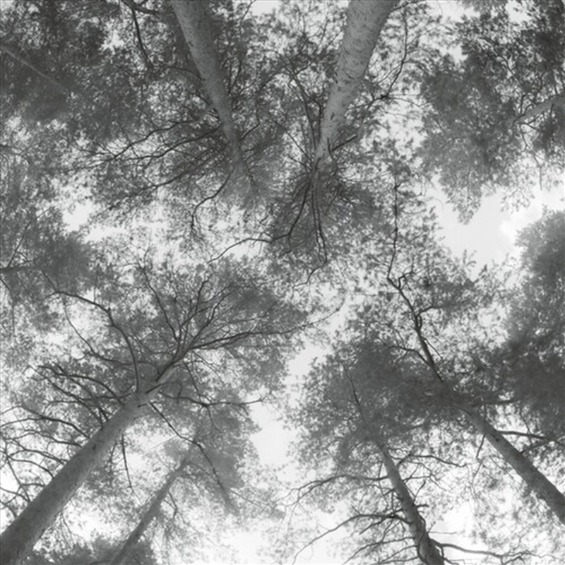 Traveller Song/Thanksong/Product Detail/Classical