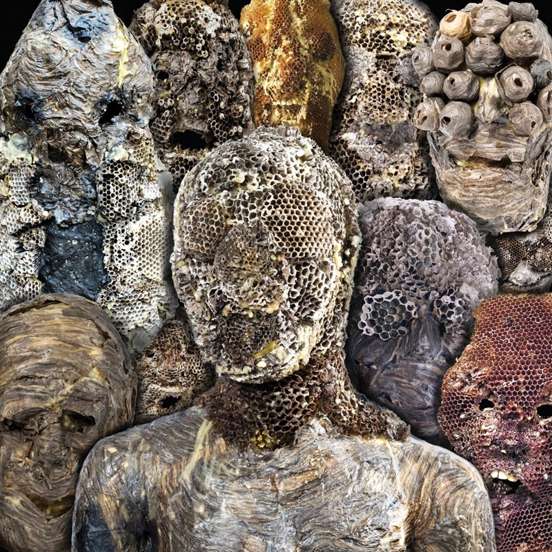 Shadow Swamps/Product Detail/Dance