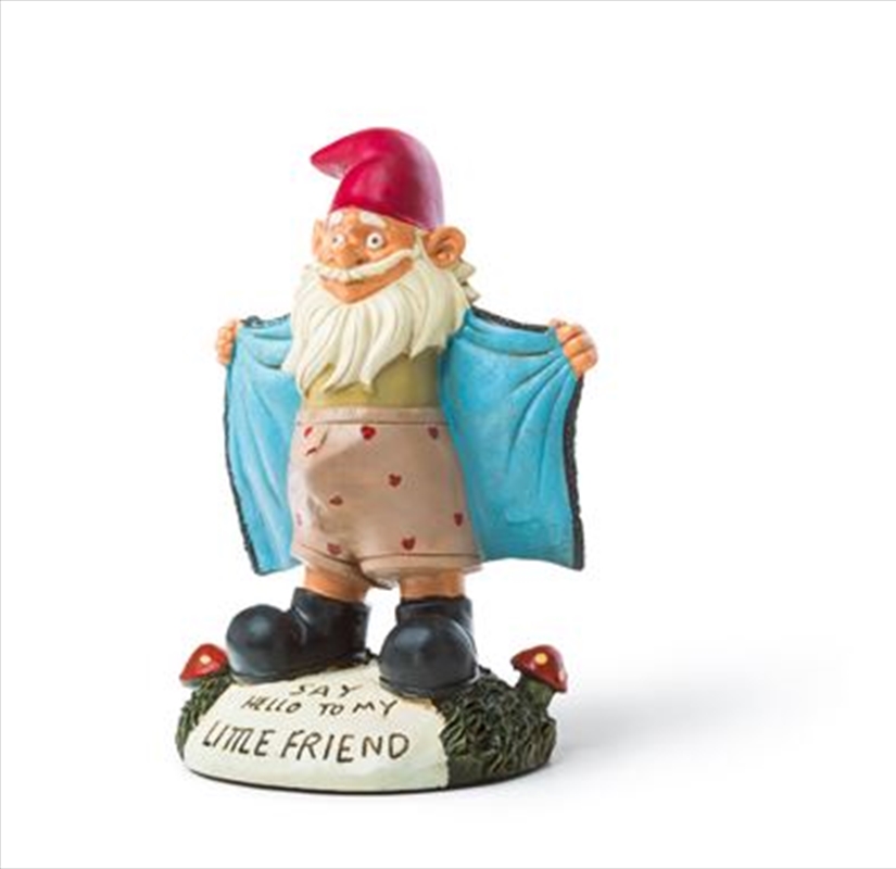 Bigmouth Perverted Garden Gnome/Product Detail/Outdoor