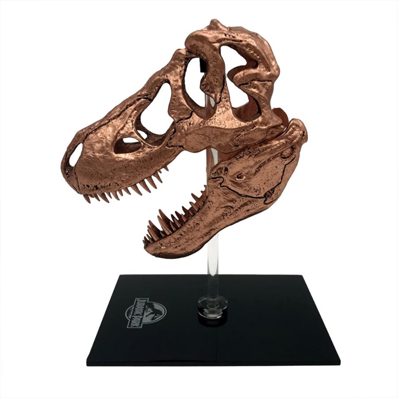 Jurassic Park - T-Rex Skull Scaled Prop Replica/Product Detail/Replicas
