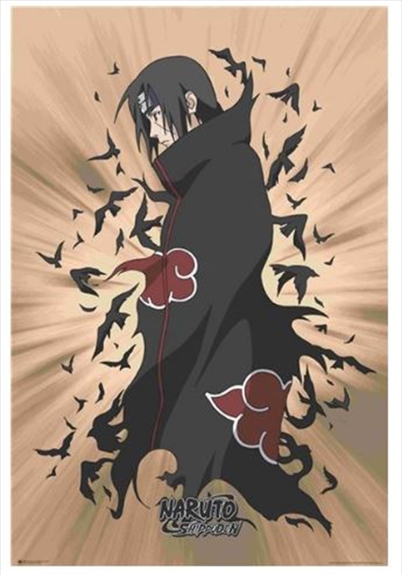 Naruto - Itachi - Reg Poster/Product Detail/Posters & Prints