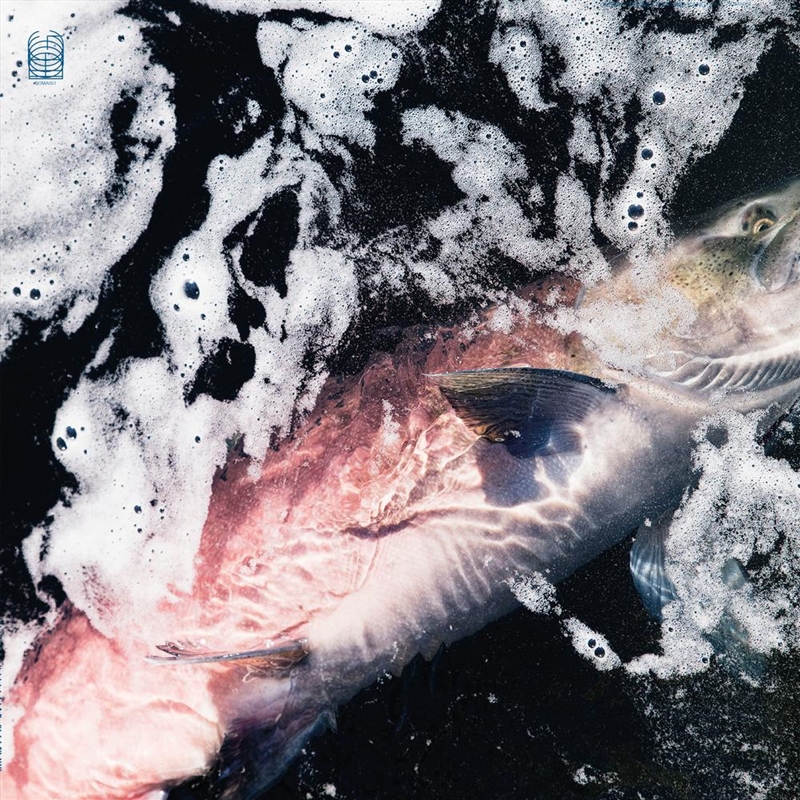 Azure/Product Detail/Dance