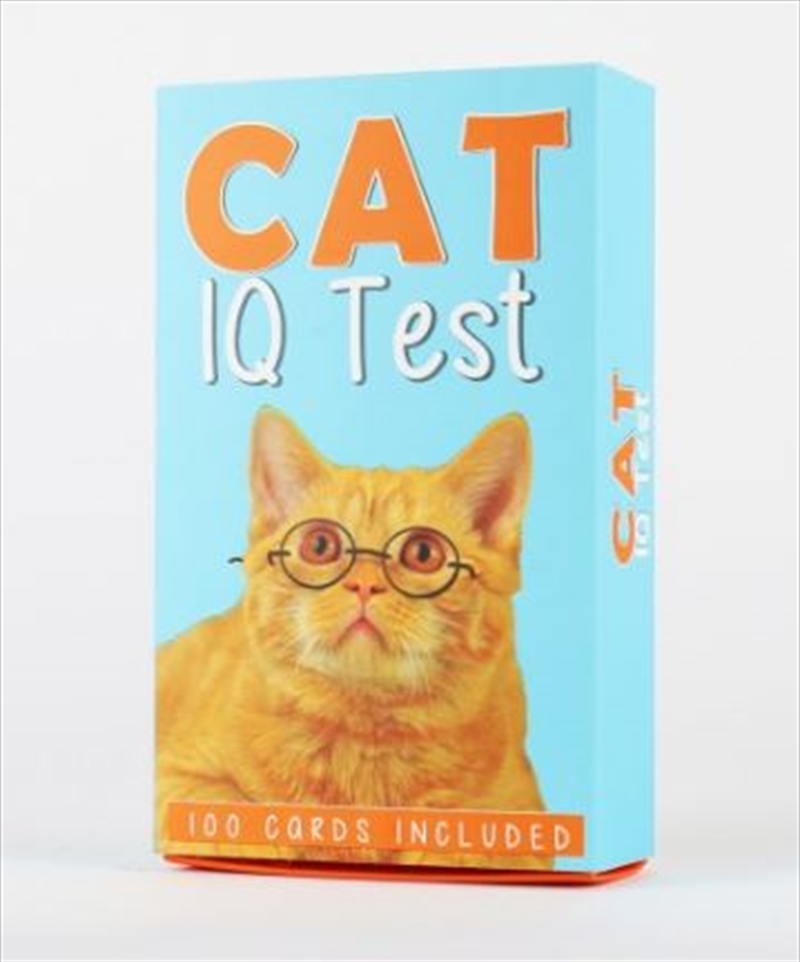 Buy Cat IQ Test Online Sanity