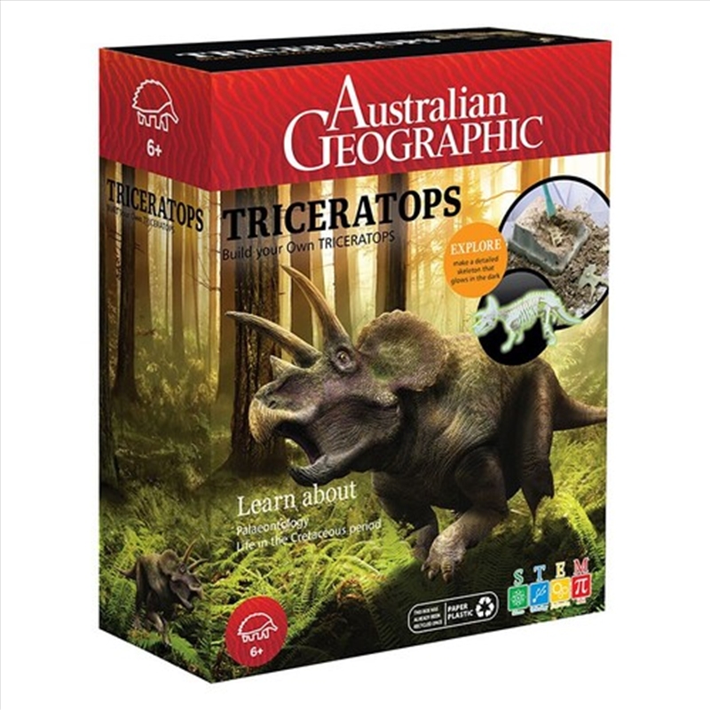 Australian Geographic Triceratops Building Dinosaur Kit Toy/Product Detail/Educational