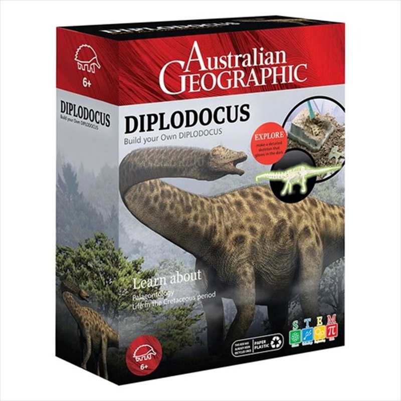 Australian Geographic Diplodocus Building Dinosaur Kit Toy/Product Detail/Educational