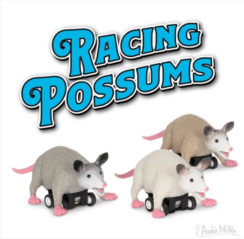 Archie McPhee – Pull Back Racing Possums (SENT AT RANDOM)/Product Detail/Toys