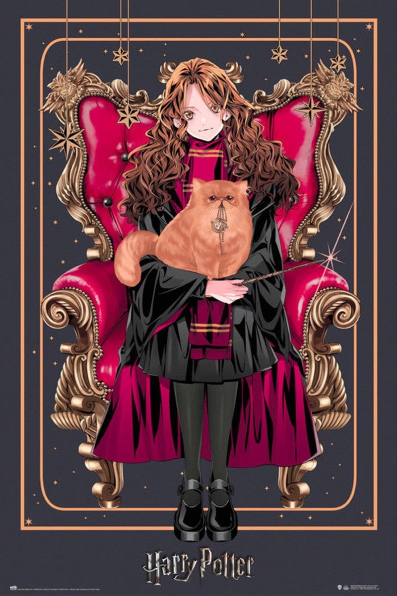 Wizard Dynasty Hermione Granger/Product Detail/Posters & Prints