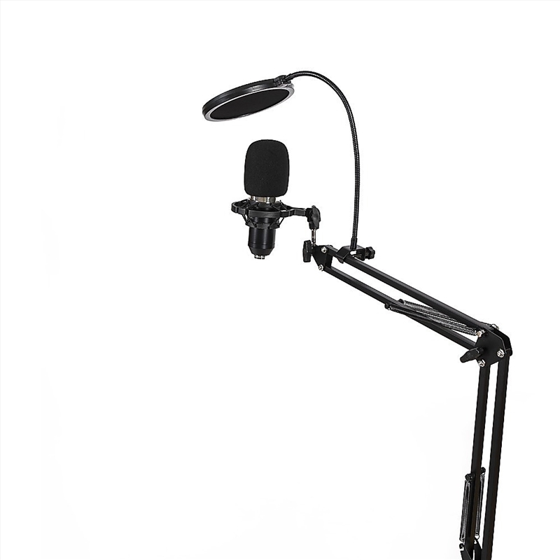 Professional Condenser Microphone USB Voice & Music Cantilever Bracket Set/Product Detail/Electronics