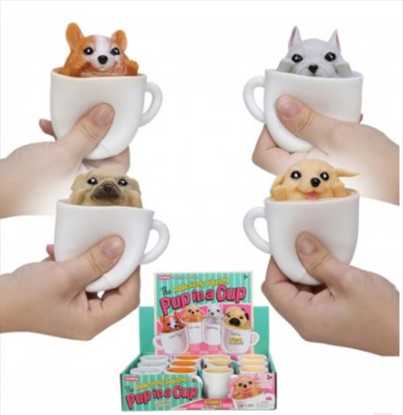 Schylling - Pup In A Cup (SENT AT RANDOM)/Product Detail/Toys