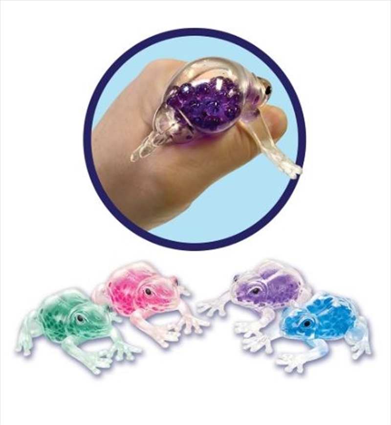 Squish The Frog (SENT AT RANDOM)/Product Detail/Stress & Squishy