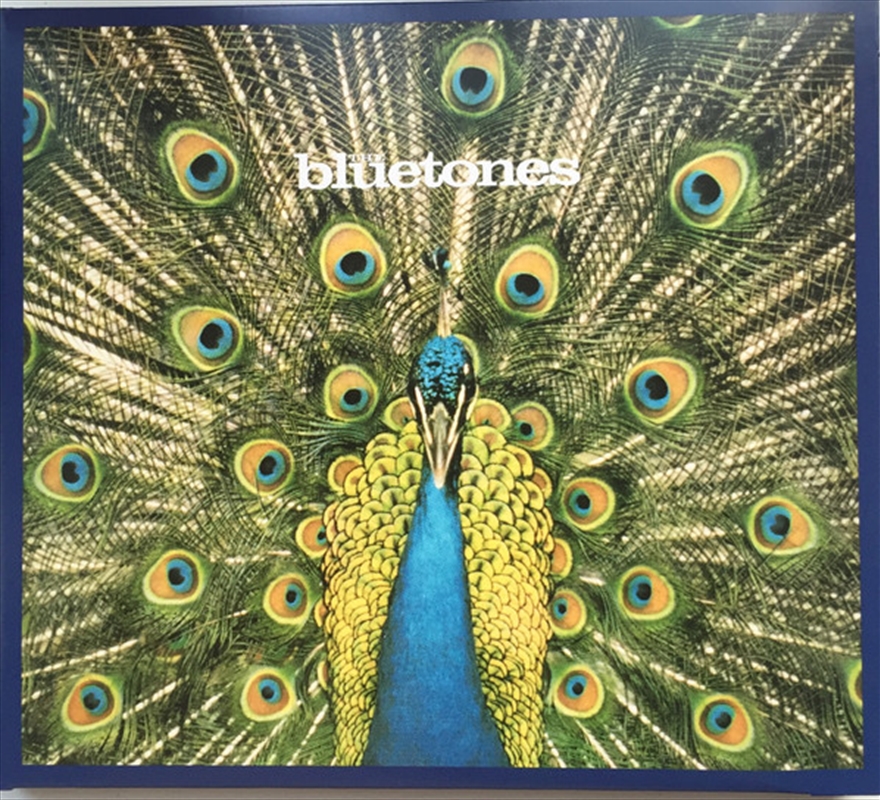 Expecting To Fly: 20Th Anniversary Edition/Product Detail/Alternative
