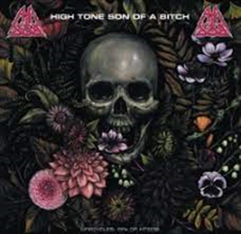 Lifecycles/Product Detail/Rock/Pop