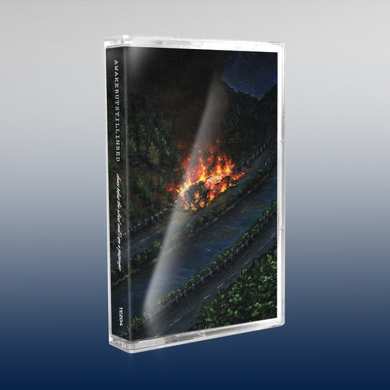 Chaos Takes The Wheel And I Am A Passanger/Product Detail/Punk