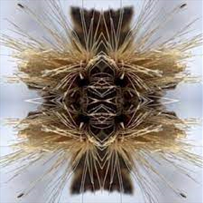 Sutra/Product Detail/Rock/Pop