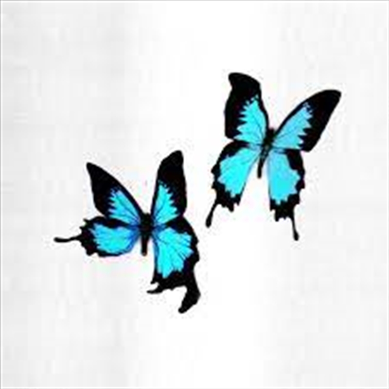 Tear/Product Detail/Dance