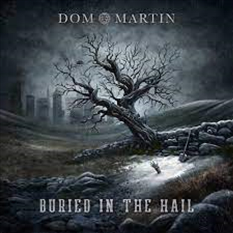 Buried In The Hail/Product Detail/Blues