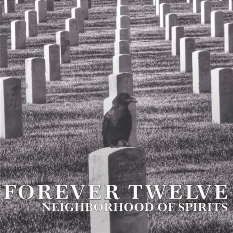 Neighborhood Of Spirits/Product Detail/Rock/Pop