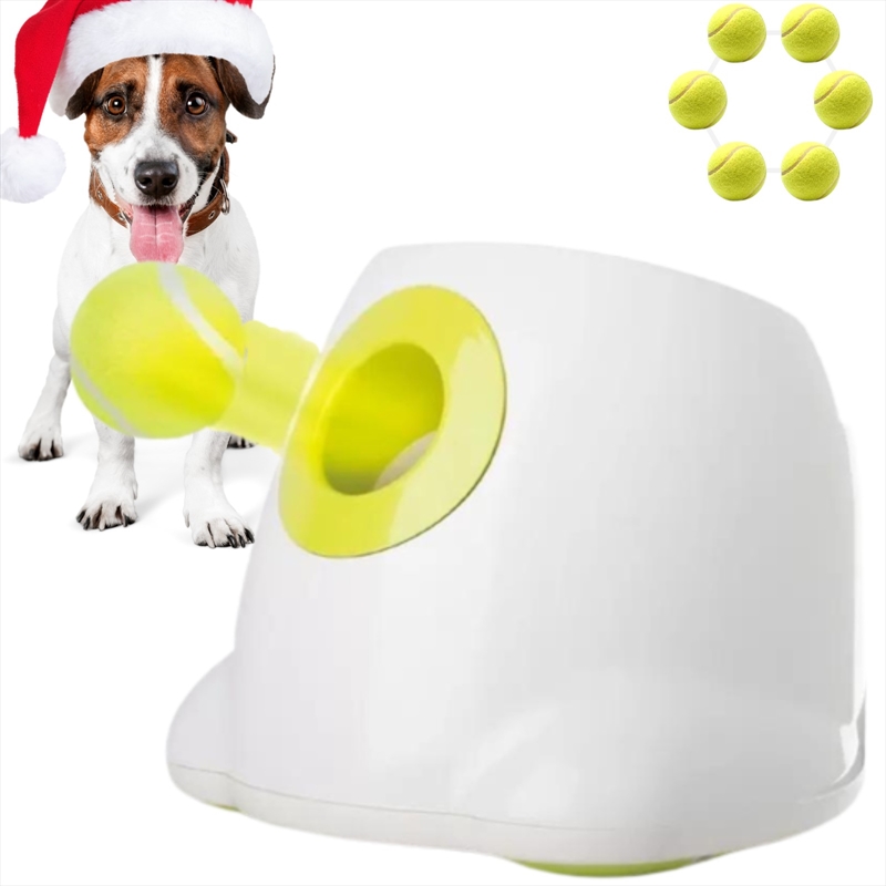 Automatic Ball Launcher Throwing Machine Dog Toys Interactive Tennis Pet 6Balls/Product Detail/Pet Accessories