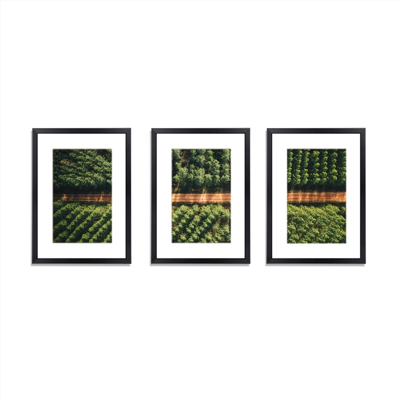 3 PCS Photo Frame Wall Set A3 Picture Home Decor Art Gift Present Black/Product Detail/Decor