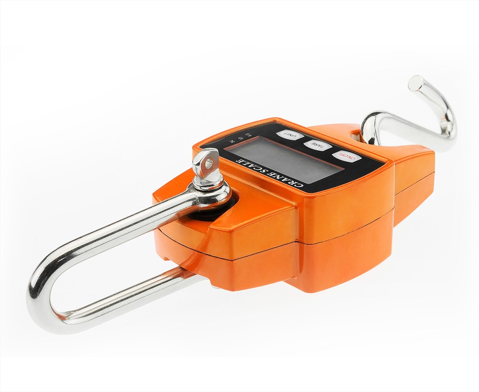 Kartrite Crane Scales Hanging 300Kg Industrial Electronic/Product Detail/Outdoor